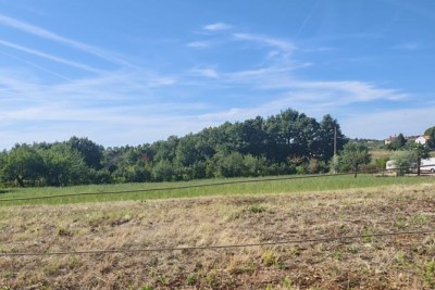BAUGRUNDSTÜCK 2.920 m² IN DER NÄHE VON VIŠNJANI