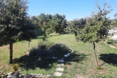 Terreno edificabile