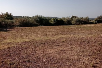 Prodaja građevinskog zemljišta u okolici Marčane!