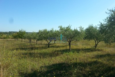 Poreč Špadići građevinsko zemljište 1383 m2