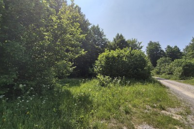 Gorski kotar, Delnice - Polane vikend naselje, građevinski teren 2564 m2