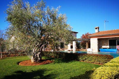 Beautiful house with large pool