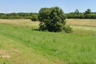 Krnica – Terreno edificabile di 889 m² con progetto e terreno agricolo aggiuntivo di 2.716 m²