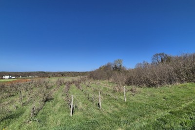 Istra, Rakalj – zemljišče 7.138 m², idealno za športno-rekreacijske namene