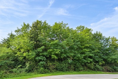 Istrien, Pićan – Baugrundstück, 1.364 m²