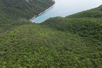Grundstück Labin, 127.080m2