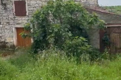 Umag, samostojeća kamena kuća 1200 m od mora
