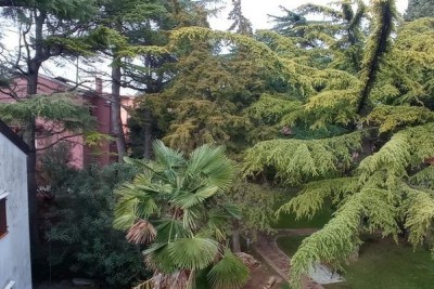 Prodaja stana u centru stare jezgre, Novigrad!