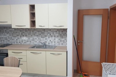 Prodaja velikog stana sa vrtom, Tar, Vabriga!