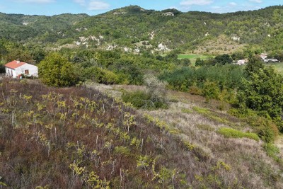 Istrien, Pićan – Baugrundstück, 461 m², Bauantrag bereits eingereicht