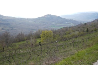 Building land