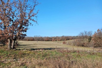 Building plot 1100 m2 for sale, Marčana