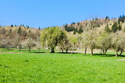 Gorski kotar , Plešce – Baugrundstück, ideal für ein Ferienhaus!