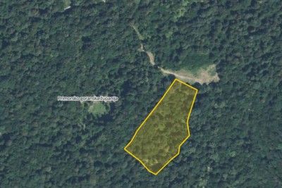 Gorski Kotar, Vrbovsko – 8,995 m² Commercial Forest with Good Access