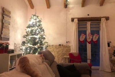 Kamena vila z dodatnim apartmajem in konobo, Sveti Lovreč