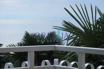 Opatija - Centar, Opatija, 394m2