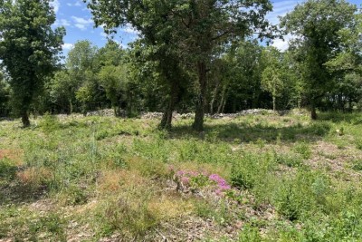 Attractive building plot for sale, Sveti Lovreč