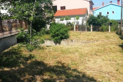 Haus