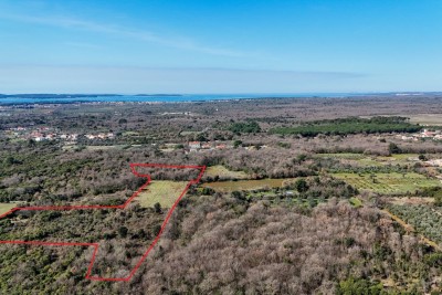 GALIŽANA - Large agricultural land for sale – 20,498 m², excellent location