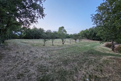 Građevinsko zemljišče v Tinjanu (Istra), 3.623 m²