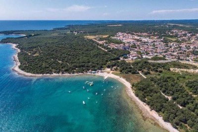 House with three separate apartments and an olive grove, just 500 m from the sea.