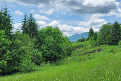 Terreno Vrbovsko