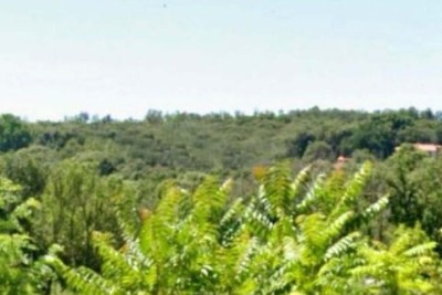 Štinjan – gradbena parcela 493 m²