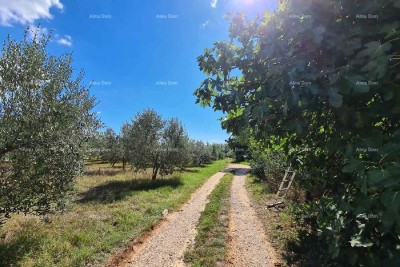 Gradbeno zemljišče