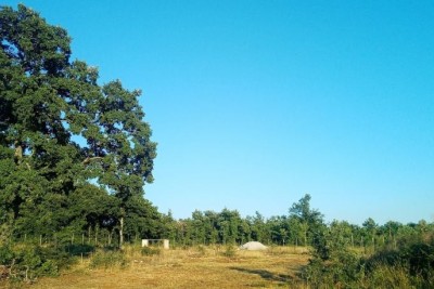 In der Nähe von Svetvičent, großes Baugrundstück mit Baugenehmigung.