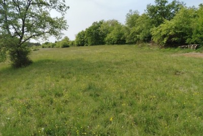 Građevinsko zemljište 3.528 m² ,  u blizini Grožnjana