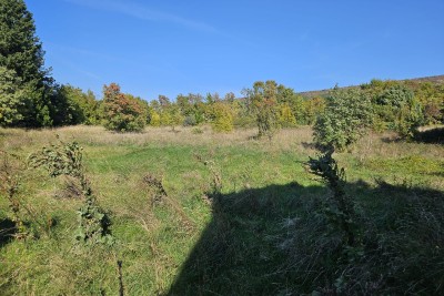 Veliko građ.zemljište sa tradicionalnom istarskom kućom,LABIN okolica