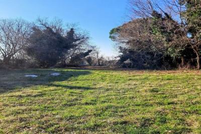 Višnjan – Construction Land 3,500 m²