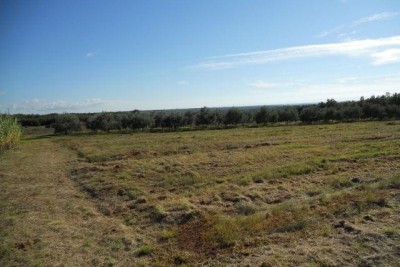 Prodajemo zemljišče 3 km od morja