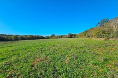 Building land