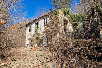 Large property for sale in central Istria, Pazin!