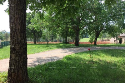 Near Porec! Building land with agricultural 39,000 M2!