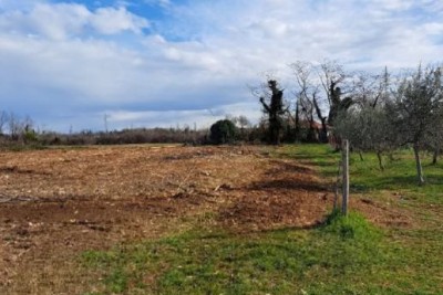 Terreno edificabile attraente a Umago – 500 m dal mare
