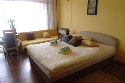 Volosko - An apartment house for investment