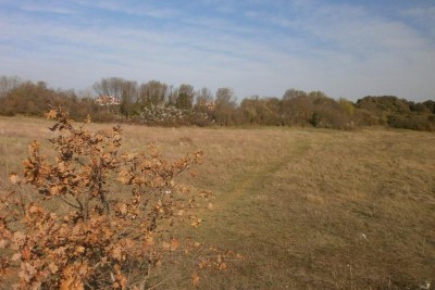 PULA - Velika parcela za gradnju obiteljske kuće ili vile