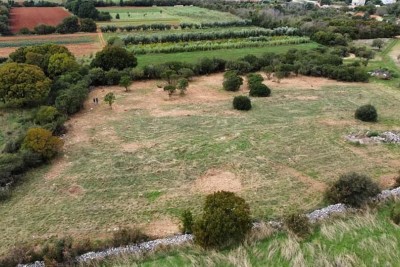 Agricultural land