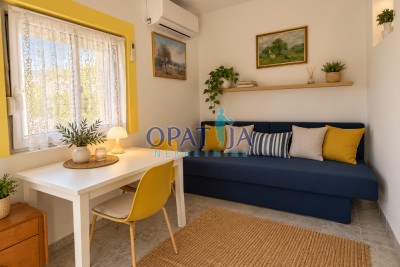 Appartamenti Vir, 48m2