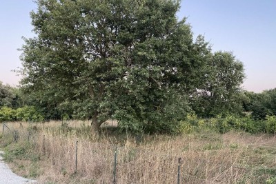 Building plot for sale, 634 m2, in Medulin