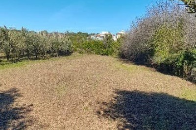 Premantura – construction land 1,793 m²
