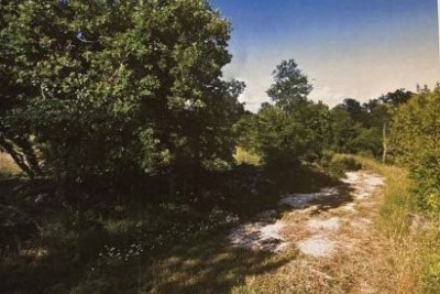 Building land