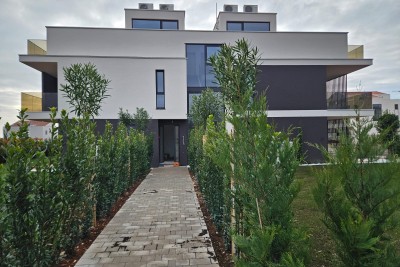 Wohnung