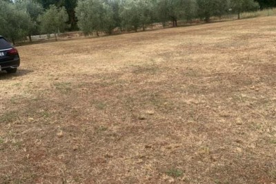 Building land Brtonigla
