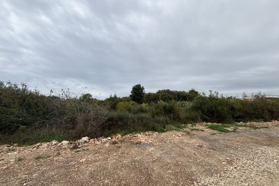 Building land