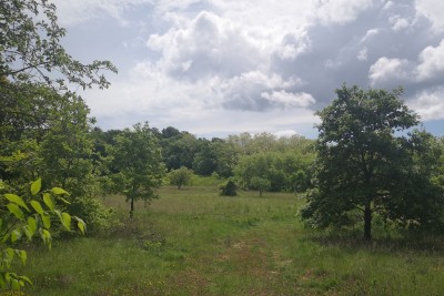 ATRAKTIVNO građevinsko zemljište,LABIN zona Villa