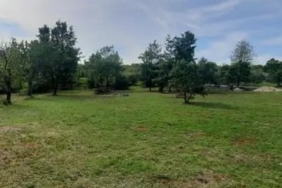 Poreč, agricultural plots.